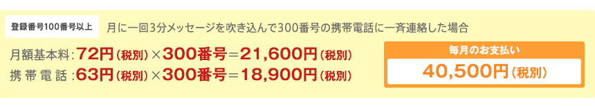 月額基本料：72円（税別）×300番号＝21,600円（税別）携帯電話：63円（税別）×300番号＝18,900円（税別）毎月のお支払い40,500円（税別）